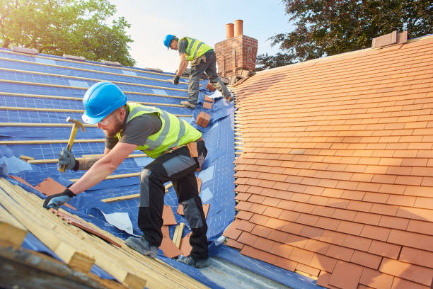 Best Roof Waterproofing  in Muleshoe, TX